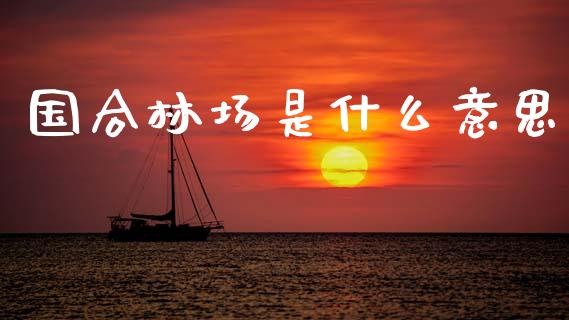 国合林场是什么意思_https://www.fsyjjx.cn_股指期货_第1张