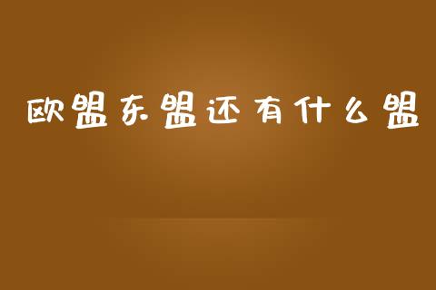 欧盟东盟还有什么盟_https://www.fsyjjx.cn_股市分析_第1张