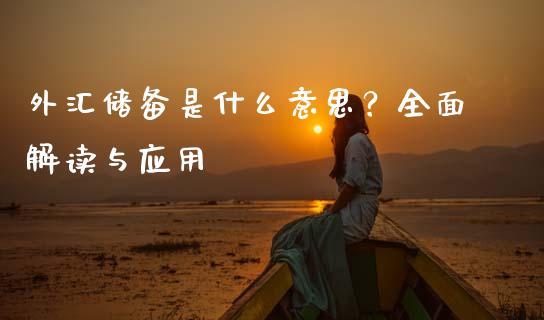 外汇储备是什么意思？全面解读与应用_https://www.fsyjjx.cn_期货研报_第1张
