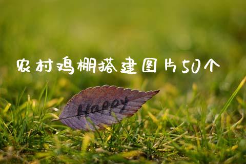 农村鸡棚搭建图片50个_https://www.fsyjjx.cn_期货资讯_第1张