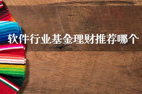 软件行业基金理财推荐哪个_https://www.fsyjjx.cn_问财精选_第1张