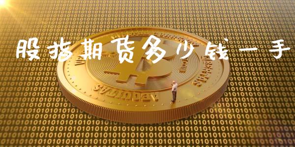 股指期货多少钱一手_https://www.fsyjjx.cn_股指期货_第1张