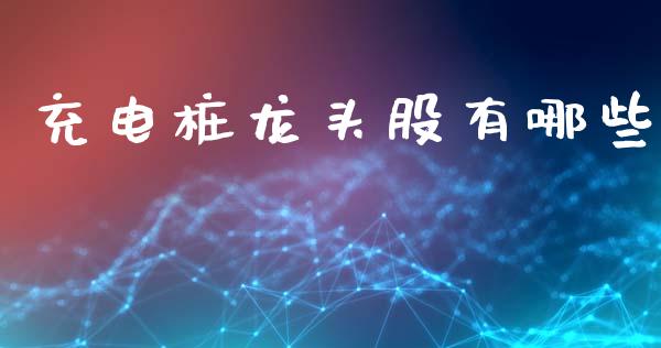 充电桩龙头股有哪些_https://www.fsyjjx.cn_期货资讯_第1张