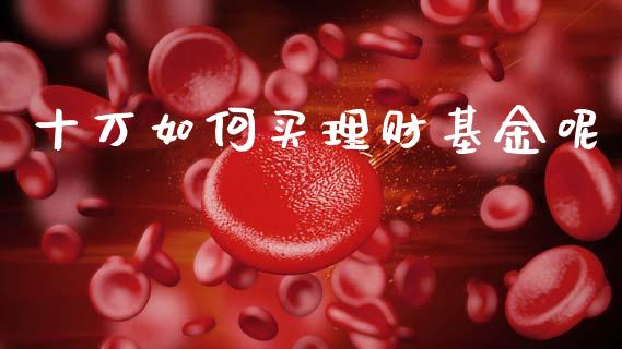 十万如何买理财基金呢_https://www.fsyjjx.cn_问财精选_第1张