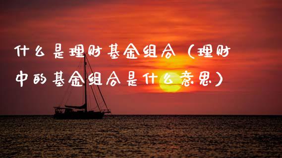 什么是理财基金组合（理财中的基金组合是什么意思）_https://www.fsyjjx.cn_问财精选_第1张