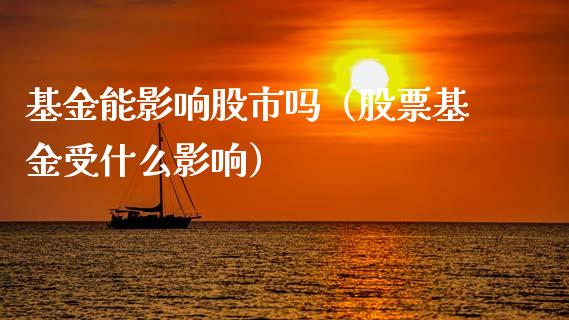 基金能影响股市吗（股票基金受什么影响）_https://www.fsyjjx.cn_问财精选_第1张