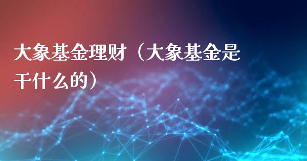 大象基金理财（大象基金是干什么的）_https://www.fsyjjx.cn_问财精选_第1张