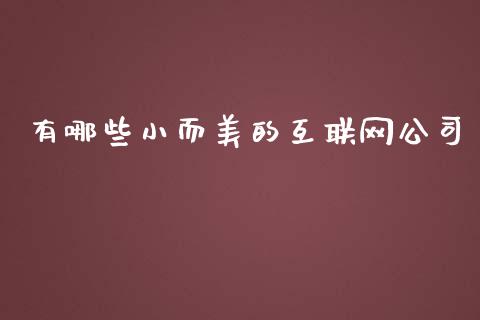 有哪些小而美的互联网公司_https://www.fsyjjx.cn_期货研报_第1张