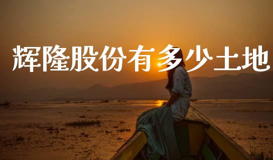 辉隆股份有多少土地_https://www.fsyjjx.cn_股市分析_第1张