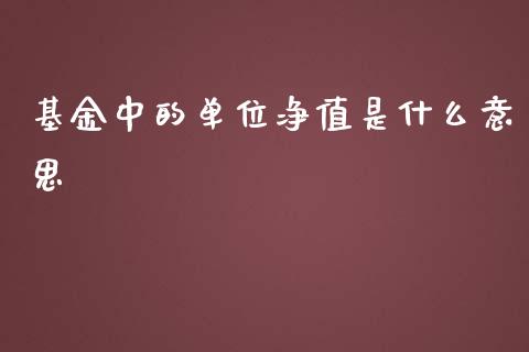 基金中的单位净值是什么意思_https://www.fsyjjx.cn_问财精选_第1张