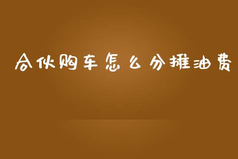 合伙购车怎么分摊油费_https://www.fsyjjx.cn_股票指导_第1张