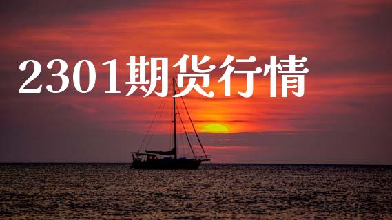 2301期货行情_https://www.fsyjjx.cn_期货研报_第1张
