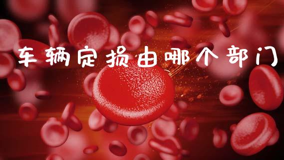 车辆定损由哪个部门_https://www.fsyjjx.cn_股票指导_第1张