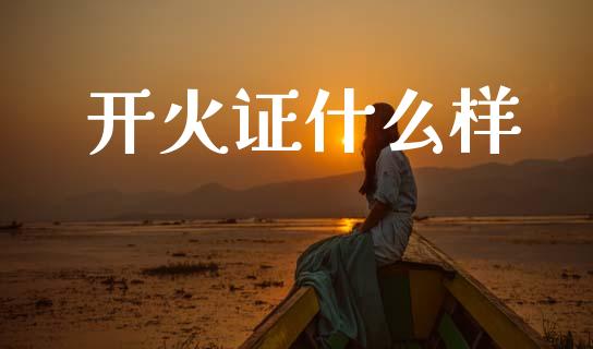 开火证什么样_https://www.fsyjjx.cn_问财精选_第1张