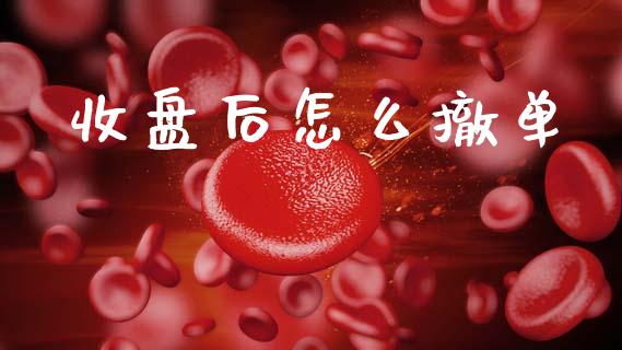 收盘后怎么撤单_https://www.fsyjjx.cn_期货资讯_第1张