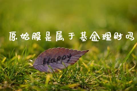 原始股是属于基金理财吗_https://www.fsyjjx.cn_问财精选_第1张