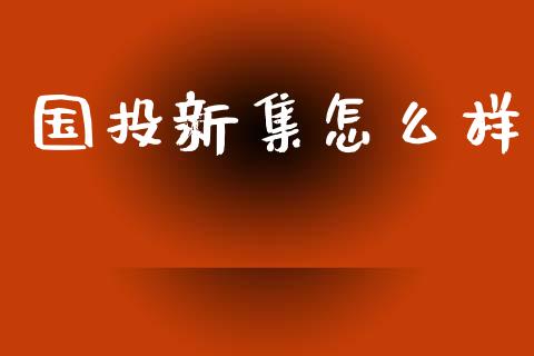 国投新集怎么样_https://www.fsyjjx.cn_股指期货_第1张