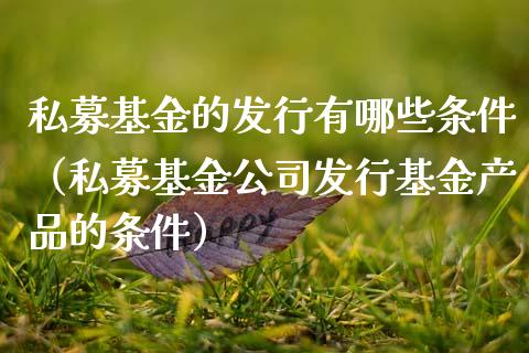 私募基金的发行有哪些条件（私募基金公司发行基金产品的条件）_https://www.fsyjjx.cn_理财资讯_第1张