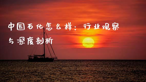 中国石化怎么样：行业观察与深度剖析_https://www.fsyjjx.cn_期货资讯_第1张