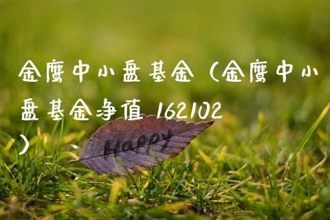 金鹰中小盘基金（金鹰中小盘基金净值 162102）_https://www.fsyjjx.cn_理财资讯_第1张