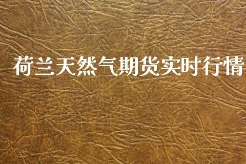 荷兰天然气期货实时行情_https://www.fsyjjx.cn_期货研报_第1张