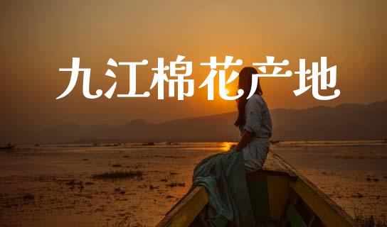 九江棉花产地_https://www.fsyjjx.cn_期货研报_第1张