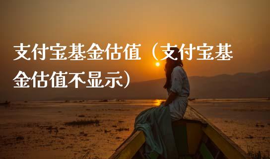 支付宝基金估值（支付宝基金估值不显示）_https://www.fsyjjx.cn_理财资讯_第1张