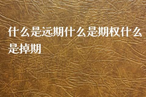 什么是远期什么是期权什么是掉期_https://www.fsyjjx.cn_期货资讯_第1张