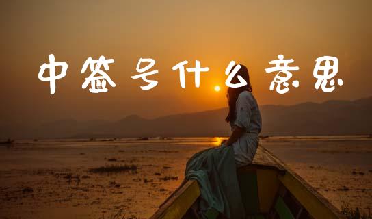 中签号什么意思_https://www.fsyjjx.cn_期货在线_第1张