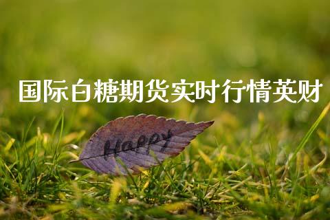 国际白糖期货实时行情英财_https://www.fsyjjx.cn_期货资讯_第1张