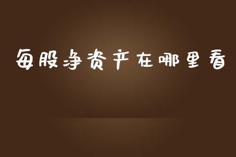 每股净资产在哪里看_https://www.fsyjjx.cn_期货资讯_第1张